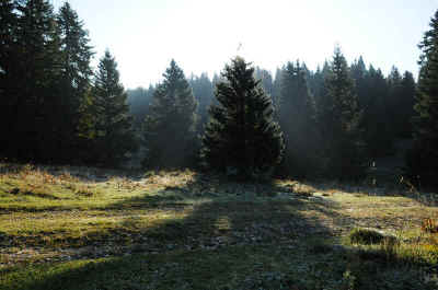 wpe32.jpg (49978 octets)