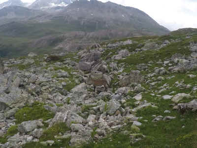 5.JPG (5031535 octets)