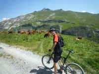 P1100853.JPG (7487323 octets)